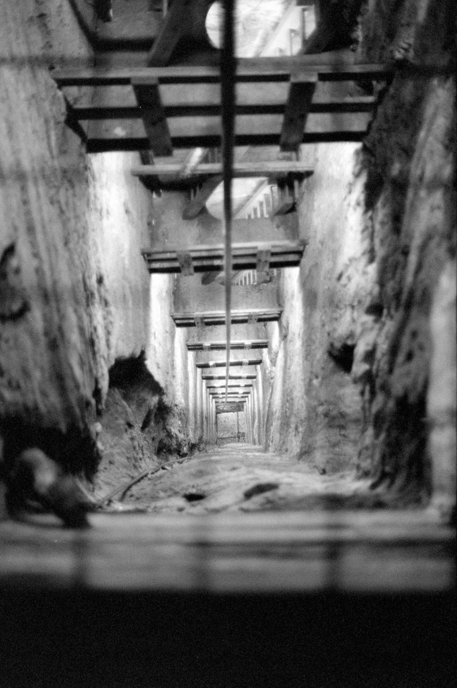 AHP F1994 11 008 sc250521 img30 NLP